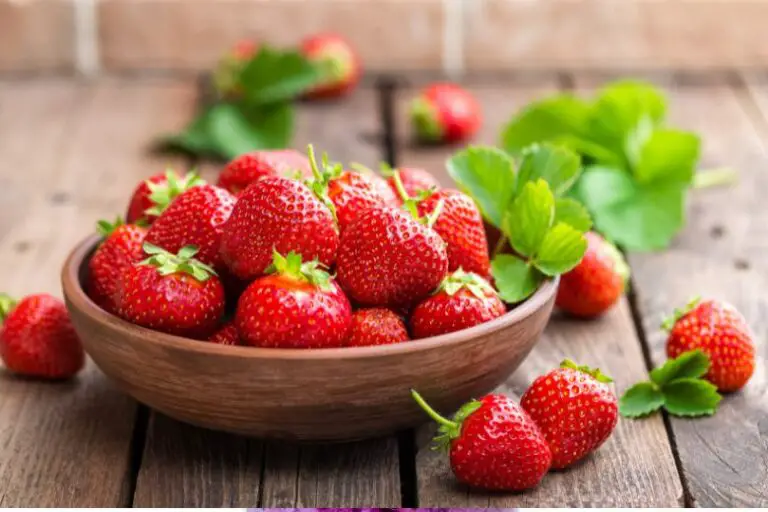The Sweet and Juicy Delight of Strawberries