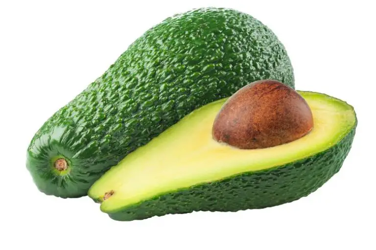 Are Avocado Pits Compostable