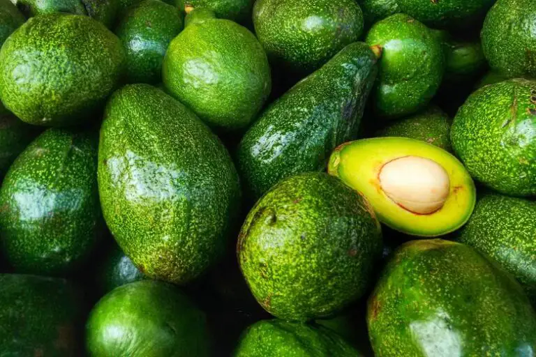 Are Avocados a Stone Fruit
