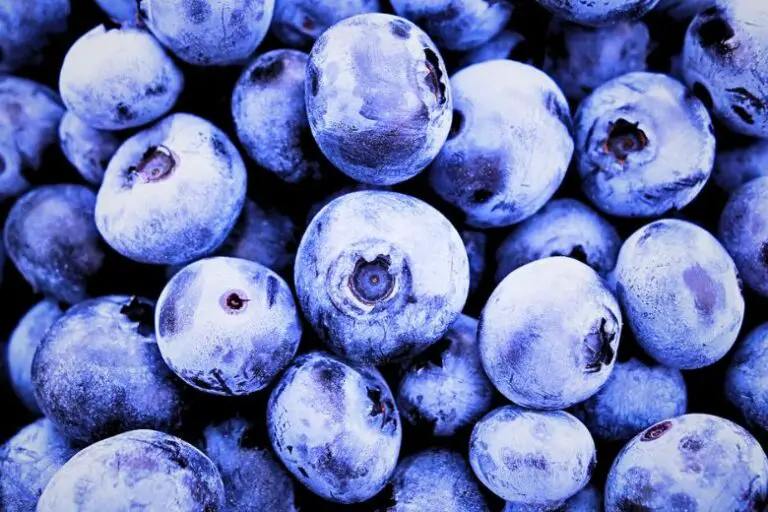 Are Blueberries Actually Blue?