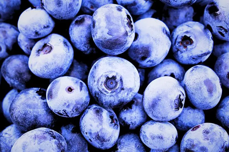 Are Blueberries Actually Blue