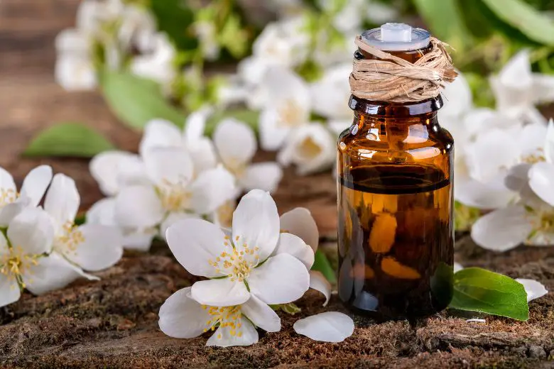 Can Jasmine Essential Oil Be Used For Skincare