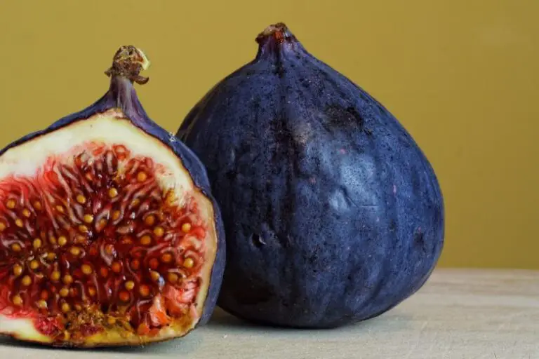 Can Figs Improve Fertility