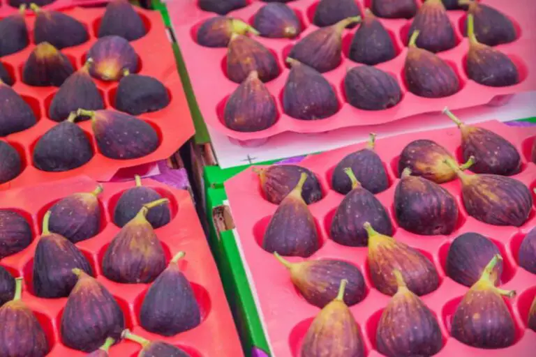 How Should Fresh Figs Be Stored