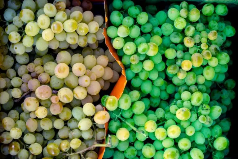 Are White and Green Grapes the Same