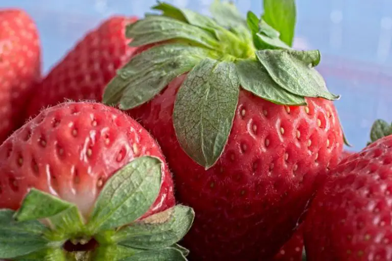 How Big is a Quart of Strawberries